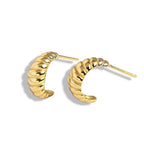 Ox Horn Studded Earrings - Aventus