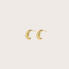 Ox Horn Studded Earrings