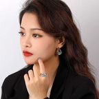 Abalone Shell Dangling Earrings - Aventus