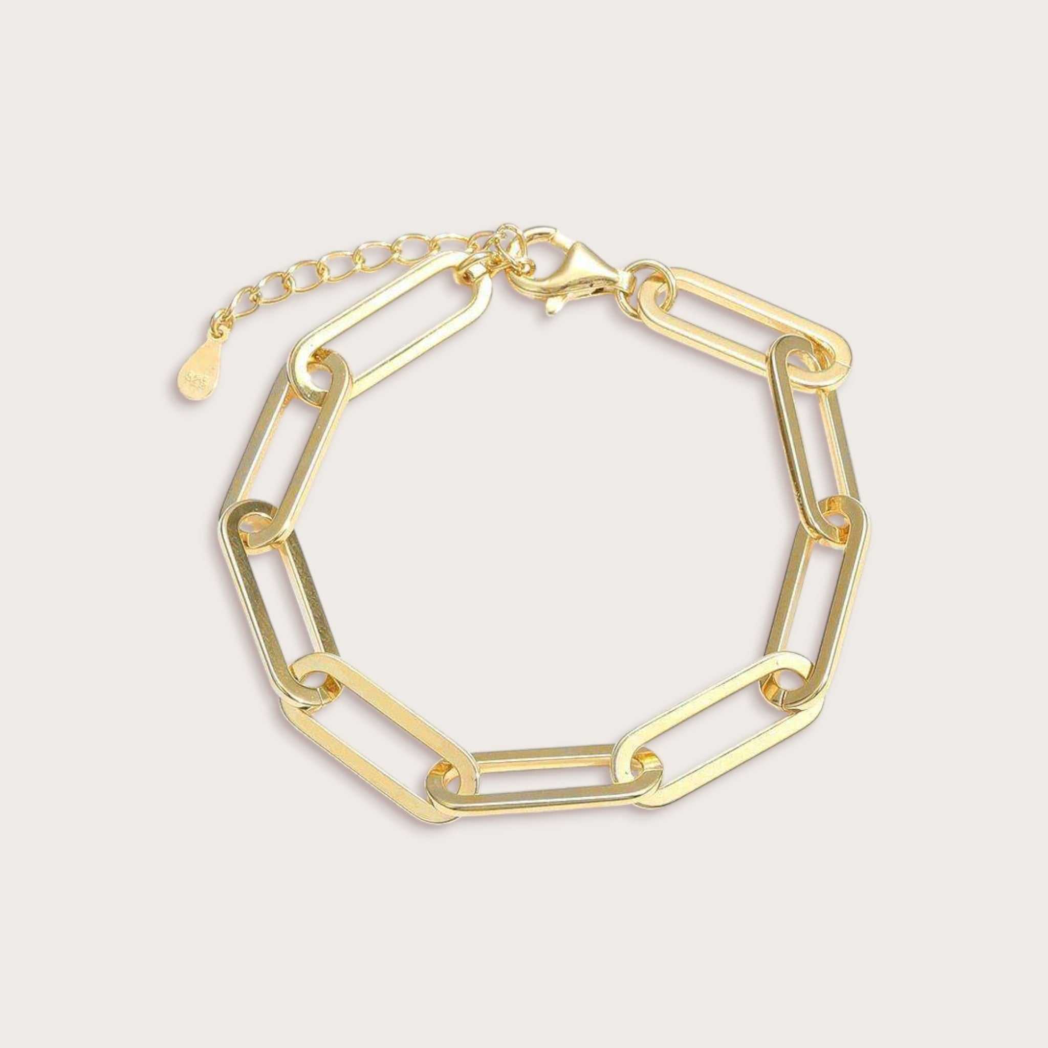 Paperclip Bracelet